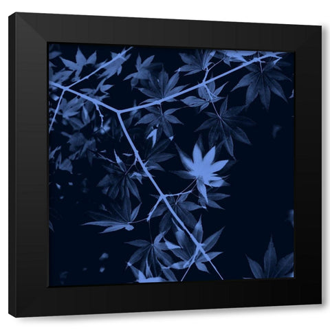 True Blue Black Modern Wood Framed Art Print with Double Matting by Phillip, Jamie