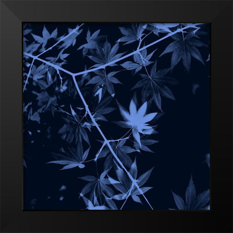 True Blue Black Modern Wood Framed Art Print by Phillip, Jamie
