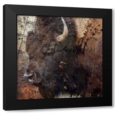 Mr.Buffalo Black Modern Wood Framed Art Print with Double Matting by Phillip, Jamie