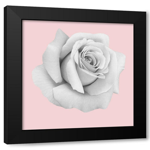 Rose Gold Black Modern Wood Framed Art Print with Double Matting by Phillip, Jamie