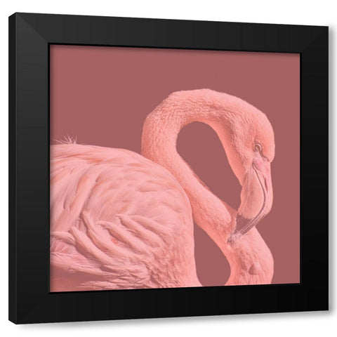 Flamingo Black Modern Wood Framed Art Print by Phillip, Jamie