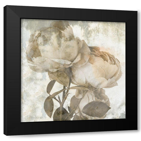 Love Rose Black Modern Wood Framed Art Print with Double Matting by Phillip, Jamie