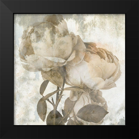 Love Rose Black Modern Wood Framed Art Print by Phillip, Jamie