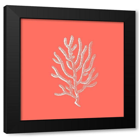 Coral 2 Black Modern Wood Framed Art Print with Double Matting by Phillip, Jamie