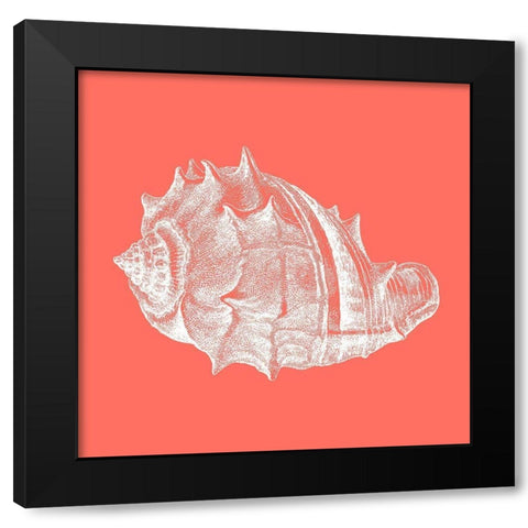Coral 3 Black Modern Wood Framed Art Print by Phillip, Jamie