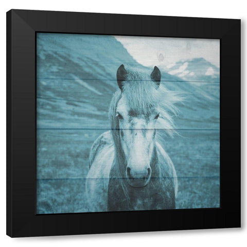 Roseta On The Farm Black Modern Wood Framed Art Print with Double Matting by Phillip, Jamie