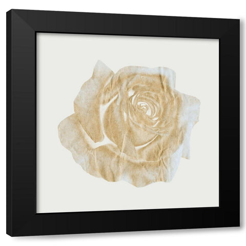 Copper Rose 3 Black Modern Wood Framed Art Print with Double Matting by Phillip, Jamie