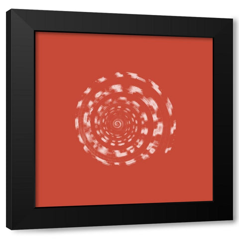 Coral Shell Black Modern Wood Framed Art Print by Phillip, Jamie
