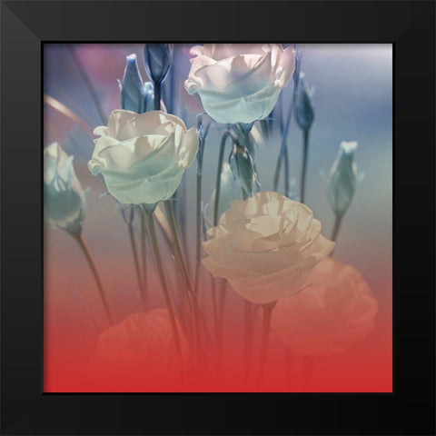 Xray Roses Black Modern Wood Framed Art Print by Phillip, Jamie