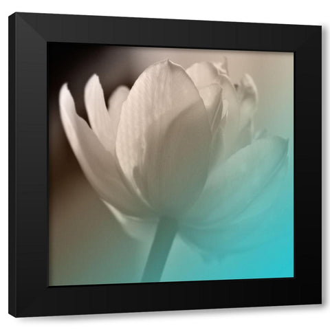 Xray Lip Black Modern Wood Framed Art Print by Phillip, Jamie