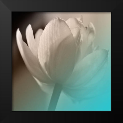 Xray Lip Black Modern Wood Framed Art Print by Phillip, Jamie