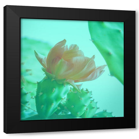 Mello Cactus Black Modern Wood Framed Art Print by Phillip, Jamie