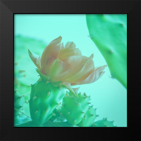 Mello Cactus Black Modern Wood Framed Art Print by Phillip, Jamie