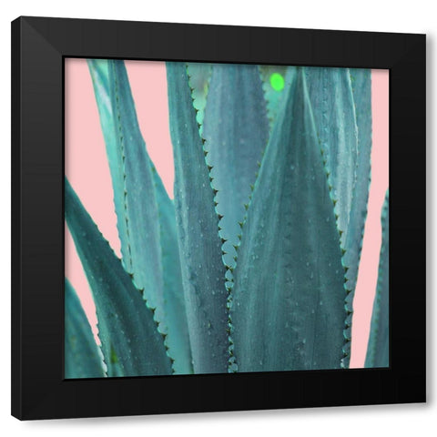 Succulent Black Modern Wood Framed Art Print by Phillip, Jamie