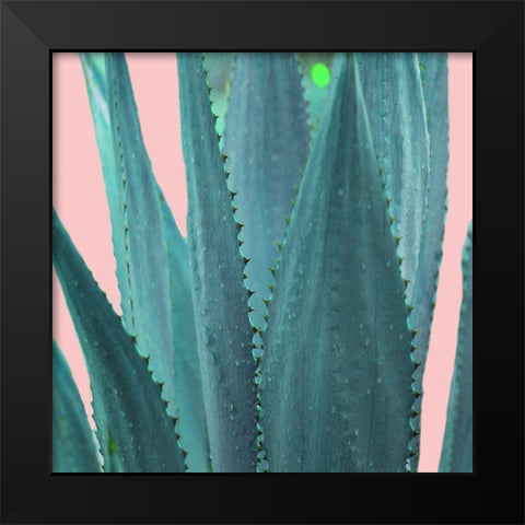 Succulent Black Modern Wood Framed Art Print by Phillip, Jamie