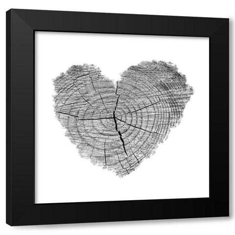 Love Stump 1 Black Modern Wood Framed Art Print with Double Matting by Phillip, Jamie