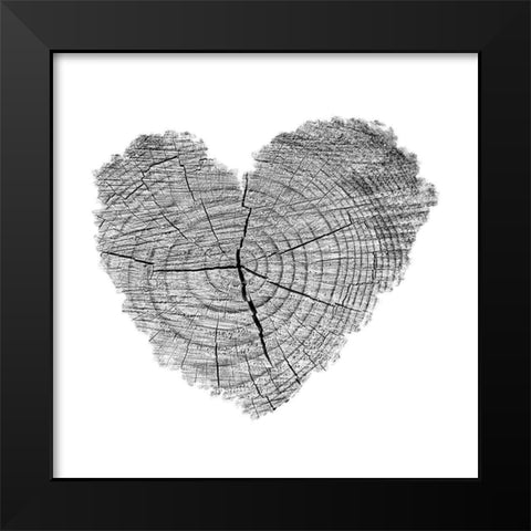 Love Stump 1 Black Modern Wood Framed Art Print by Phillip, Jamie