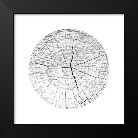 Love Stump 3 Black Modern Wood Framed Art Print by Phillip, Jamie