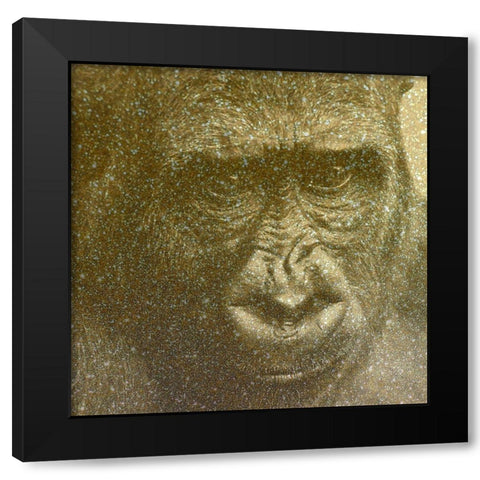 Animal Black Modern Wood Framed Art Print with Double Matting by Phillip, Jamie