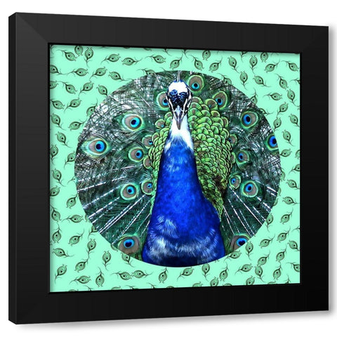 Round Peacock 2 Black Modern Wood Framed Art Print by Phillip, Jamie