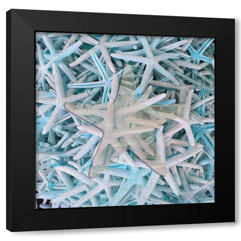 Beach Star Black Modern Wood Framed Art Print with Double Matting by Phillip, Jamie