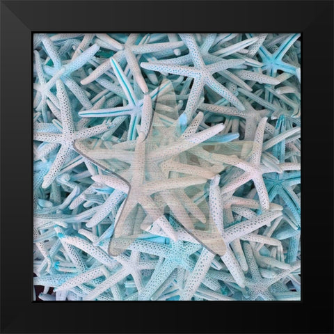 Beach Star Black Modern Wood Framed Art Print by Phillip, Jamie