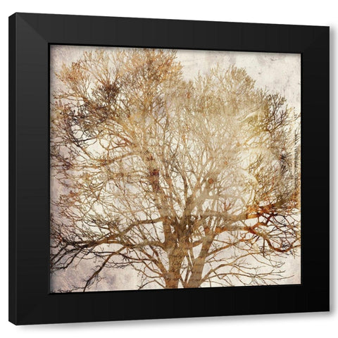 Memory Tree Black Modern Wood Framed Art Print with Double Matting by Phillip, Jamie