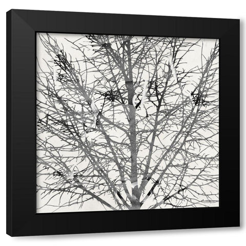Window View Black Modern Wood Framed Art Print with Double Matting by Phillip, Jamie