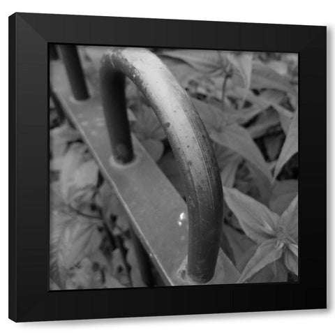 Brass Black Modern Wood Framed Art Print with Double Matting by Phillip, Jamie