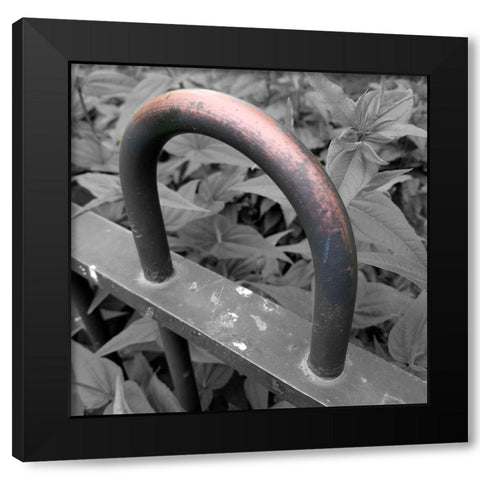 Brass 2 Black Modern Wood Framed Art Print with Double Matting by Phillip, Jamie