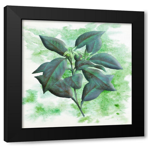 Watercolor Flowers 2 Black Modern Wood Framed Art Print by Phillip, Jamie