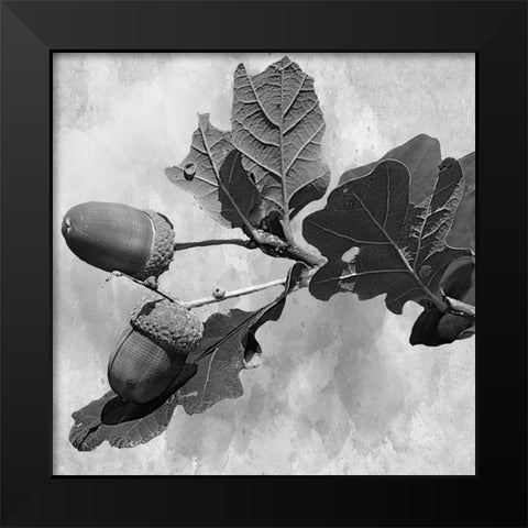 Botanical Trail Black Modern Wood Framed Art Print by Phillip, Jamie