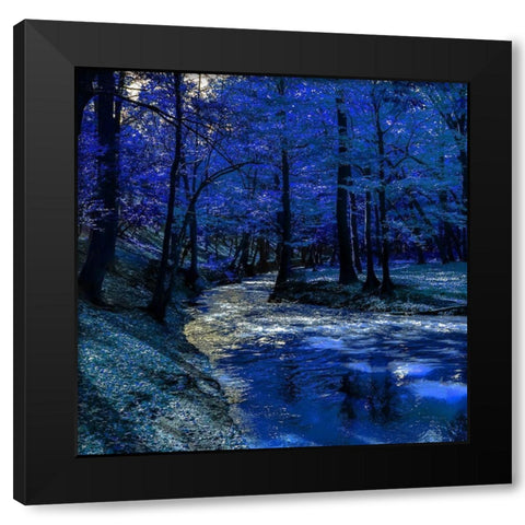 Mystical Blue Ravine Black Modern Wood Framed Art Print with Double Matting by Phillip, Jamie