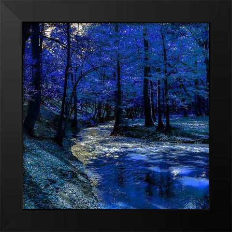 Mystical Blue Ravine Black Modern Wood Framed Art Print by Phillip, Jamie