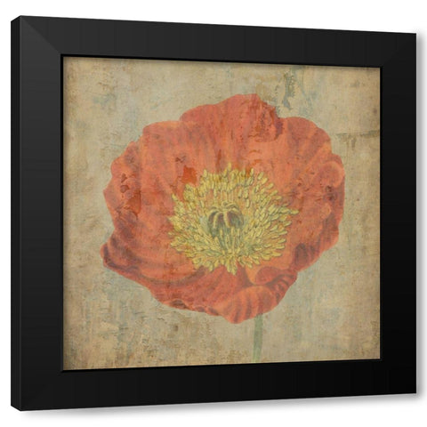 Painted Garden 1 Black Modern Wood Framed Art Print with Double Matting by Phillip, Jamie