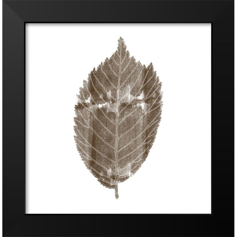 Nutral Way Black Modern Wood Framed Art Print by Phillip, Jamie