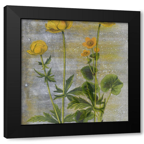 Wild Garden Black Modern Wood Framed Art Print by Phillip, Jamie