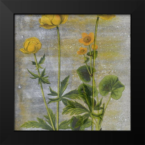 Wild Garden Black Modern Wood Framed Art Print by Phillip, Jamie