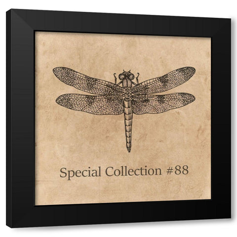 Special Collection 88 Black Modern Wood Framed Art Print with Double Matting by Phillip, Jamie