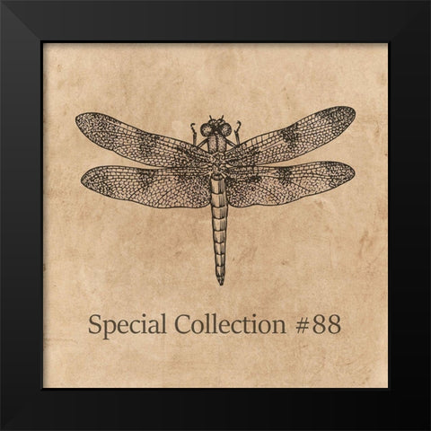 Special Collection 88 Black Modern Wood Framed Art Print by Phillip, Jamie