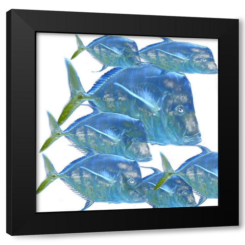 Fishes Black Modern Wood Framed Art Print by Phillip, Jamie