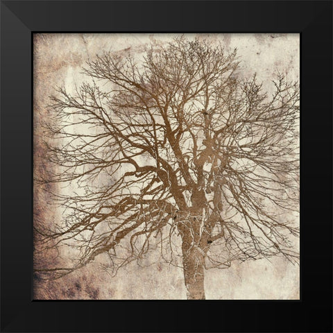 Big Tree Black Modern Wood Framed Art Print by Phillip, Jamie