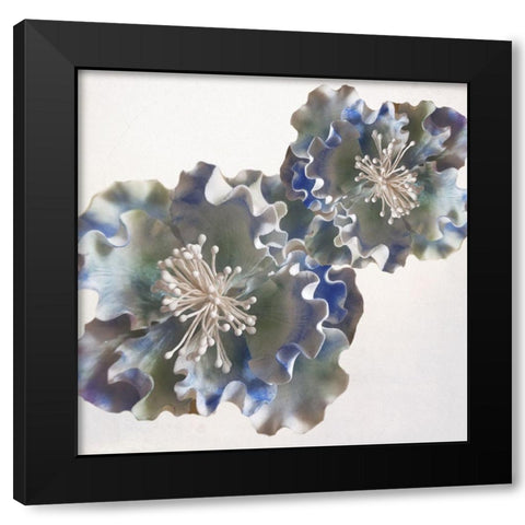 Florest Delight Black Modern Wood Framed Art Print with Double Matting by Phillip, Jamie