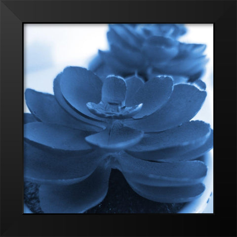 Succulent Photography 1 Black Modern Wood Framed Art Print by Phillip, Jamie