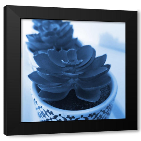 Succulent Photography 2 Black Modern Wood Framed Art Print by Phillip, Jamie