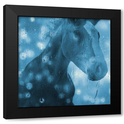 Blue Bubble Horse Black Modern Wood Framed Art Print with Double Matting by Phillip, Jamie