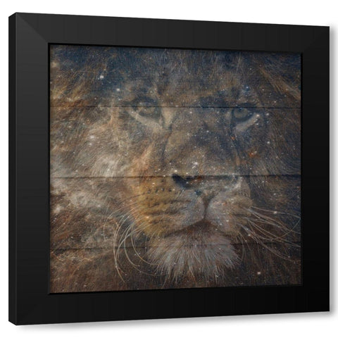 Leo Black Modern Wood Framed Art Print with Double Matting by Phillip, Jamie