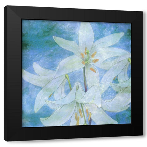 Aqua Bloom Black Modern Wood Framed Art Print by Phillip, Jamie