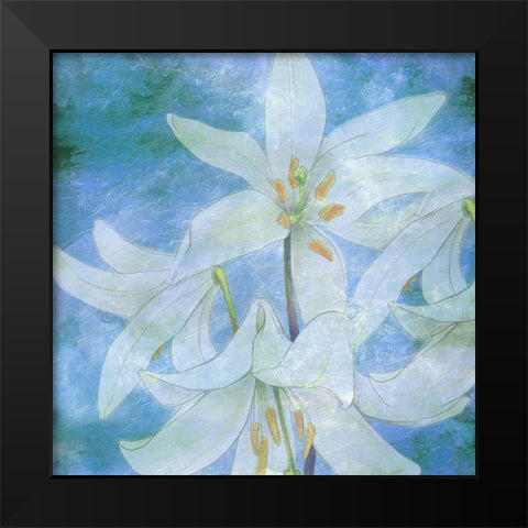 Aqua Bloom Black Modern Wood Framed Art Print by Phillip, Jamie