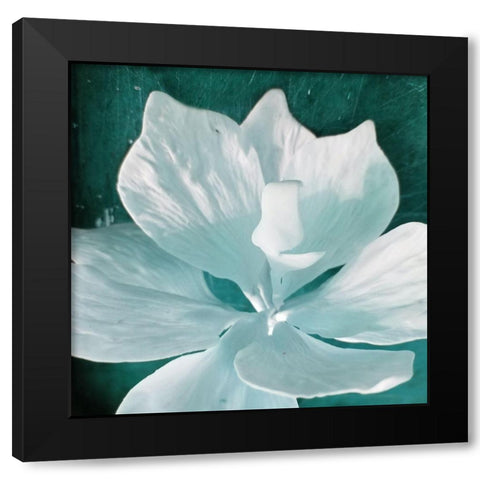 Blue Orchid Black Modern Wood Framed Art Print by Phillip, Jamie